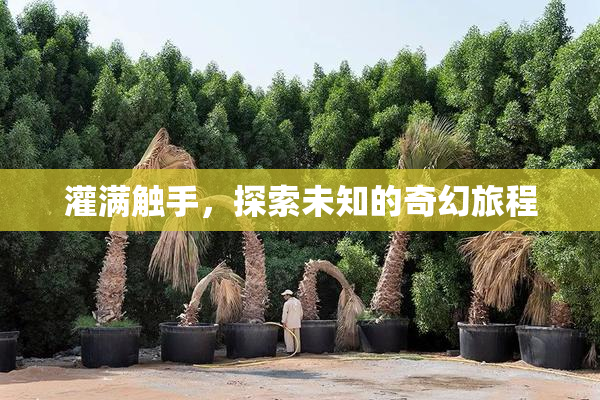 灌满触手，探索未知的奇幻旅程