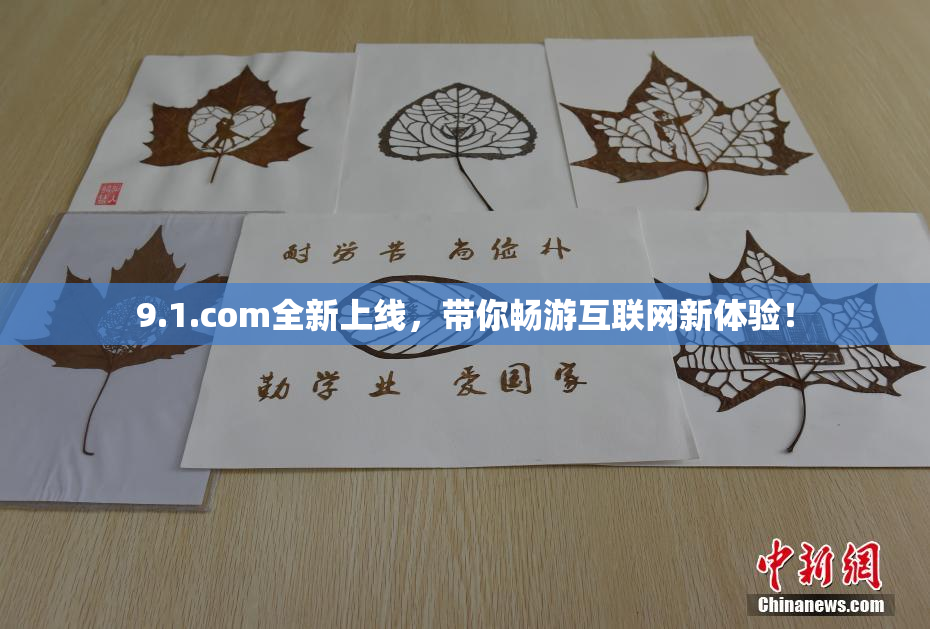 9.1.com全新上线，带你畅游互联网新体验！