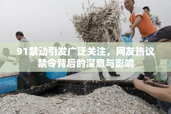 91禁动引发广泛关注，网友热议禁令背后的深意与影响