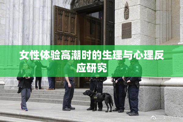 女性体验高潮时的生理与心理反应研究