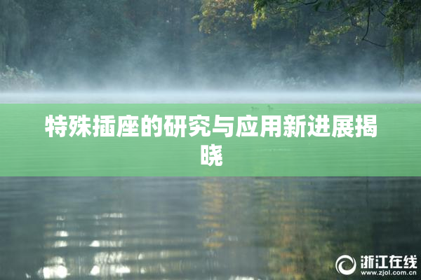 特殊插座的研究与应用新进展揭晓