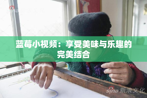 蓝莓小视频：享受美味与乐趣的完美结合
