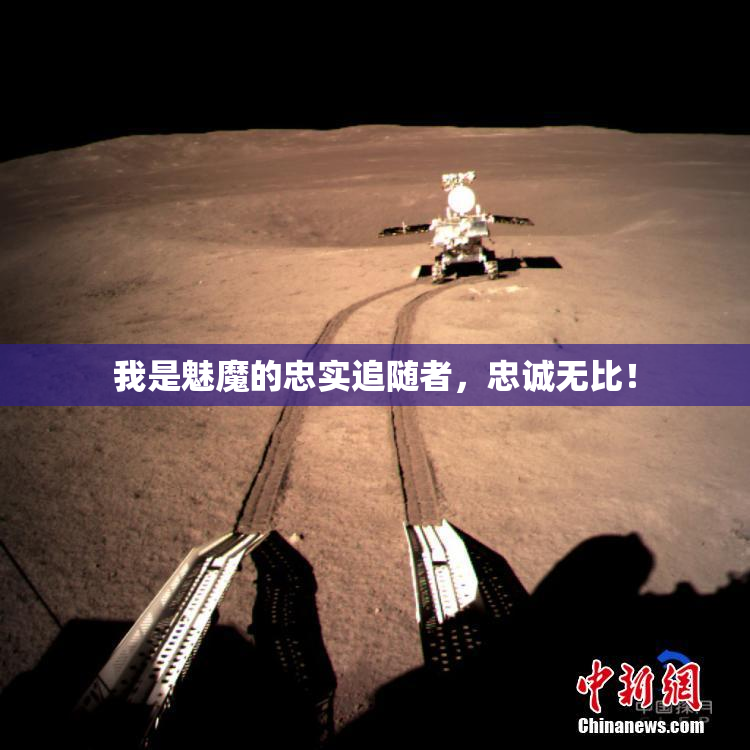 我是魅魔的忠实追随者，忠诚无比！