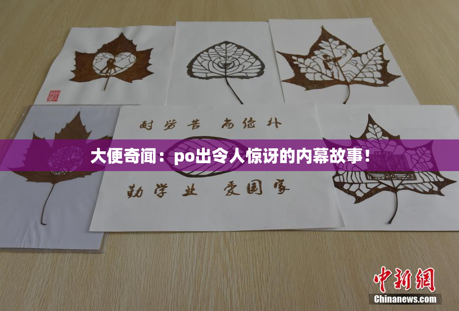 大便奇闻：po出令人惊讶的内幕故事！