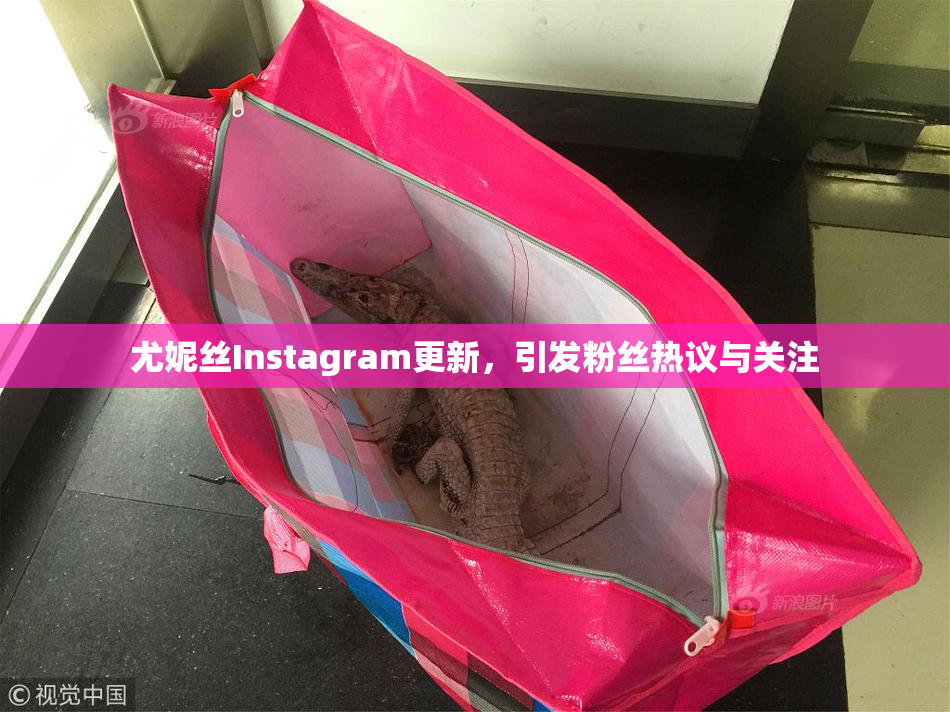 尤妮丝Instagram更新，引发粉丝热议与关注