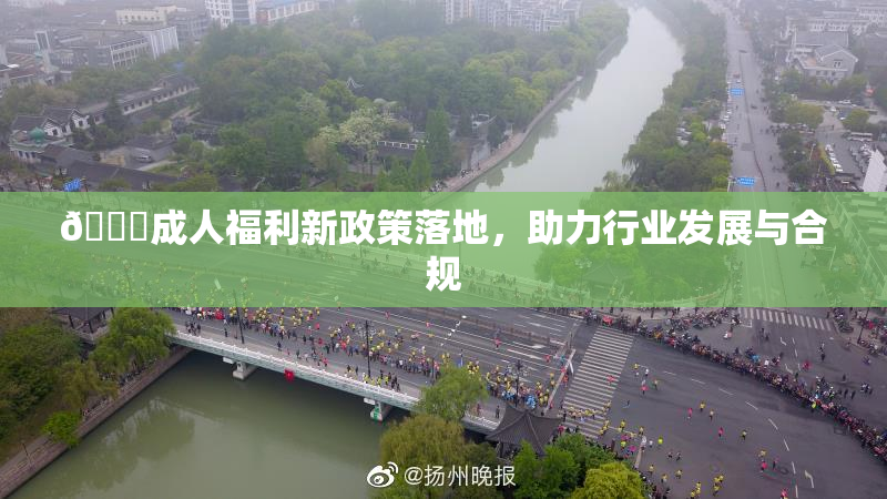 🔞成人福利新政策落地，助力行业发展与合规