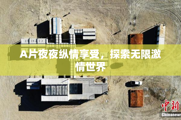 A片夜夜纵情享受，探索无限激情世界