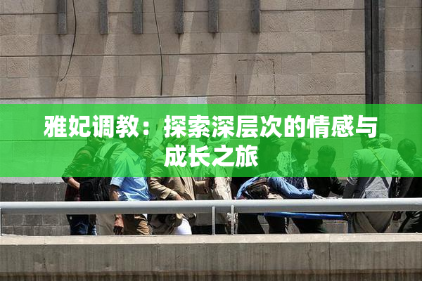 雅妃调教：探索深层次的情感与成长之旅