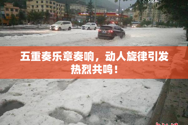 五重奏乐章奏响，动人旋律引发热烈共鸣！
