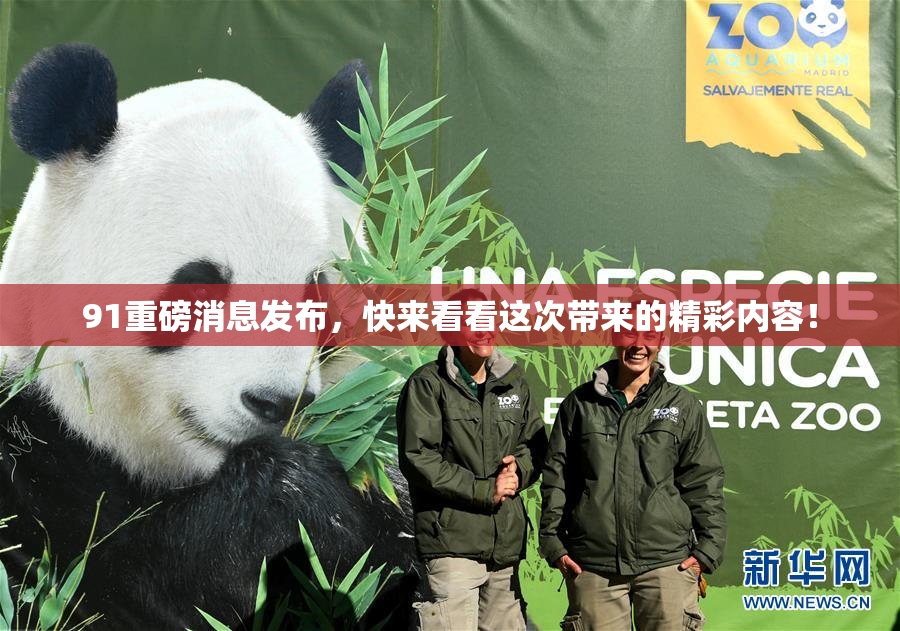 91重磅消息发布，快来看看这次带来的精彩内容！