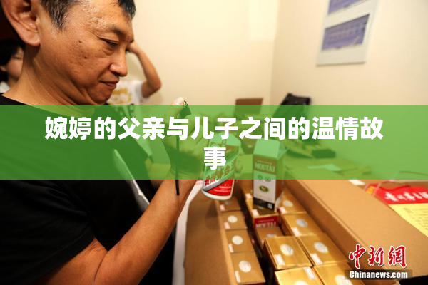 婉婷的父亲与儿子之间的温情故事