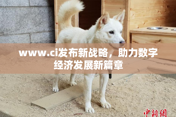 www.ci发布新战略，助力数字经济发展新篇章