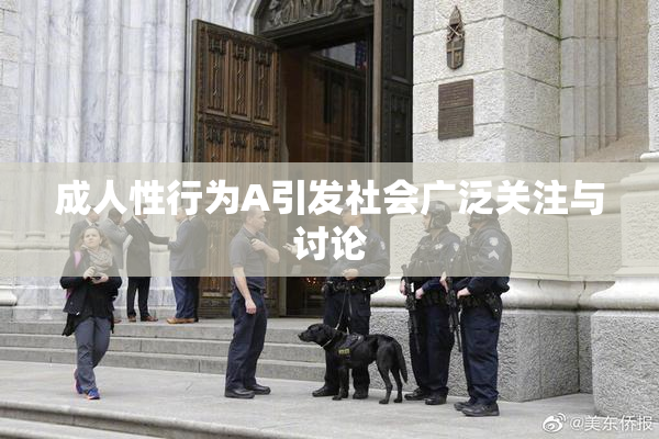 成人性行为A引发社会广泛关注与讨论