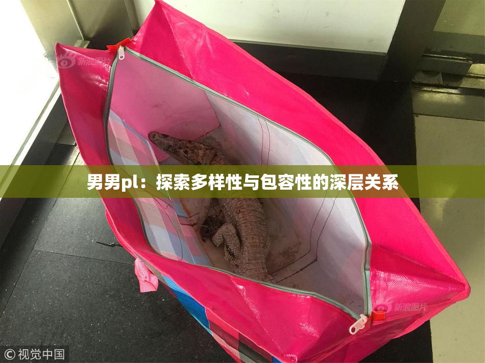 男男pl：探索多样性与包容性的深层关系
