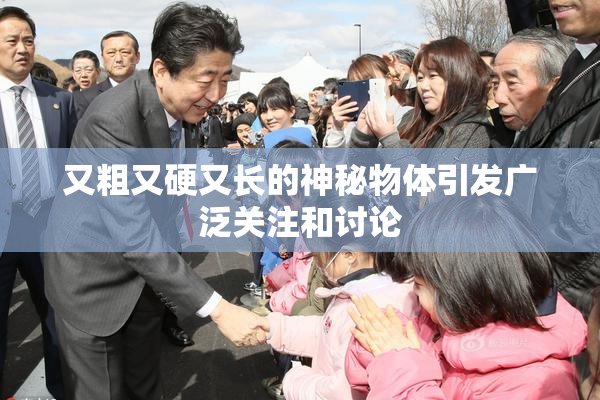 又粗又硬又长的神秘物体引发广泛关注和讨论