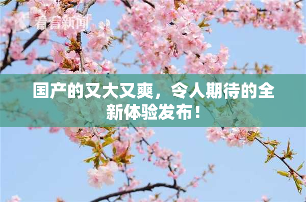 国产的又大又爽，令人期待的全新体验发布！