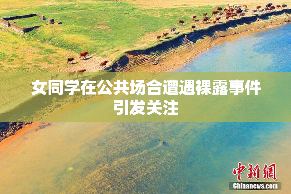女同学在公共场合遭遇裸露事件引发关注