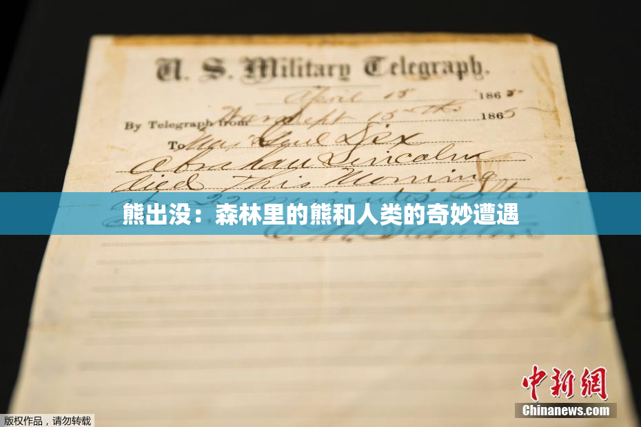 熊出没：森林里的熊和人类的奇妙遭遇