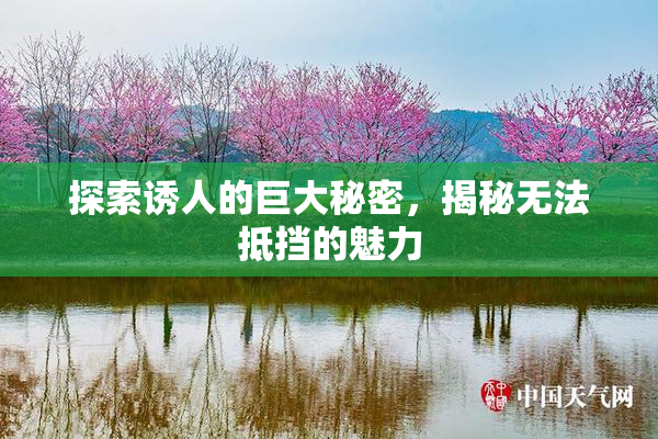 探索诱人的巨大秘密，揭秘无法抵挡的魅力