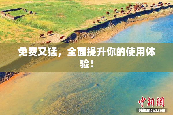 免费又猛，全面提升你的使用体验！