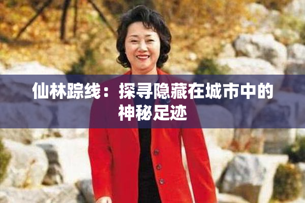 仙林踪线：探寻隐藏在城市中的神秘足迹