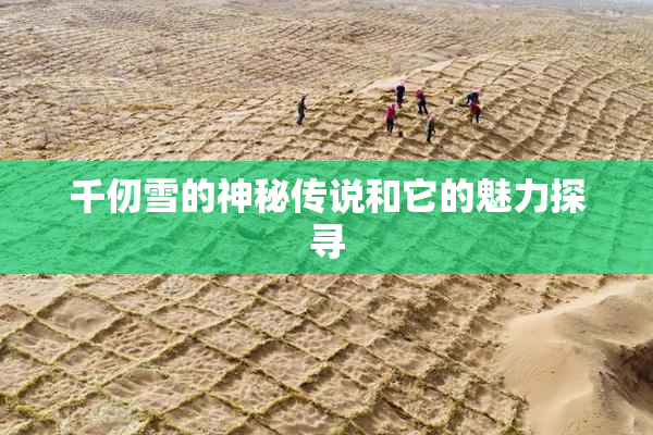 千仞雪的神秘传说和它的魅力探寻