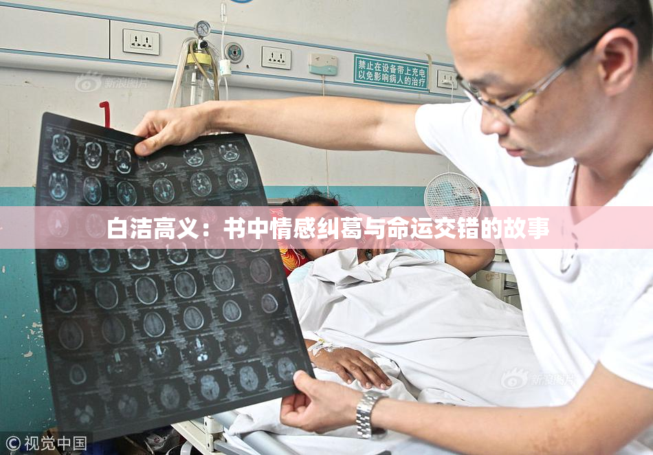 白洁高义：书中情感纠葛与命运交错的故事