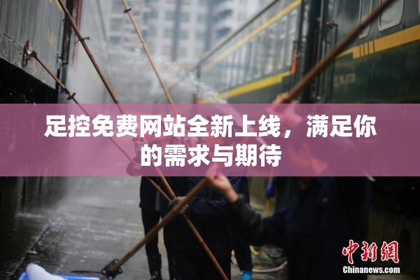 足控免费网站全新上线，满足你的需求与期待