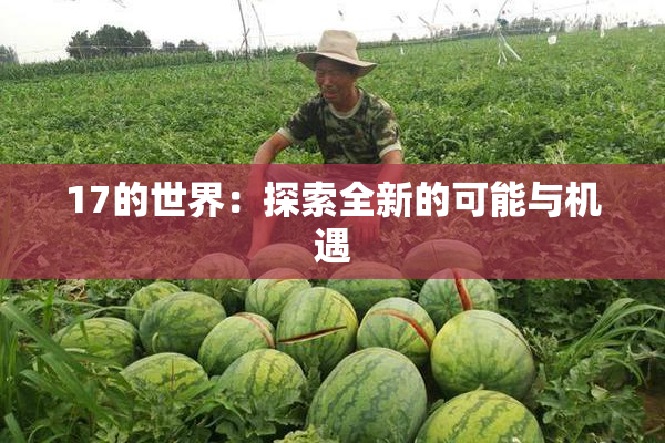 17的世界：探索全新的可能与机遇