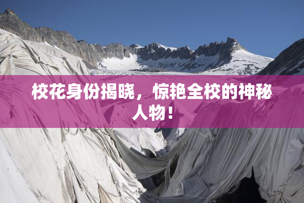 校花身份揭晓，惊艳全校的神秘人物！