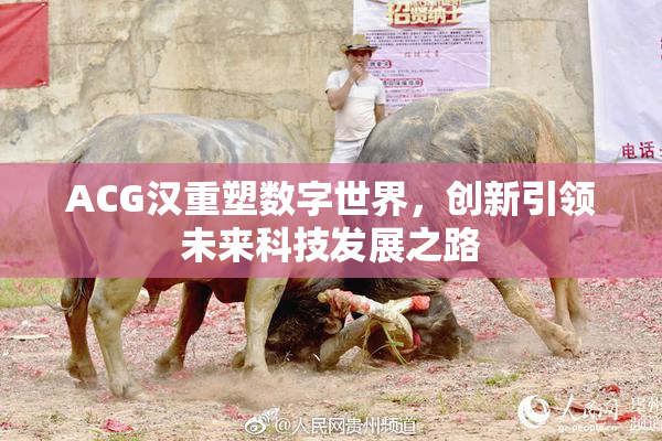 ACG汉重塑数字世界，创新引领未来科技发展之路