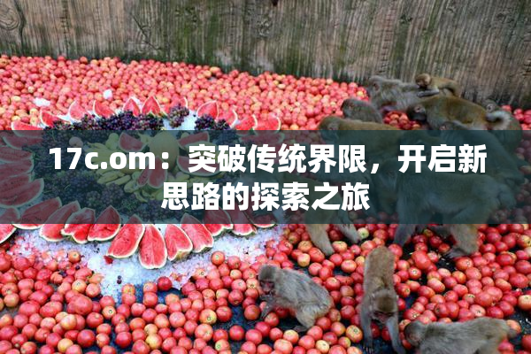 17c.om：突破传统界限，开启新思路的探索之旅
