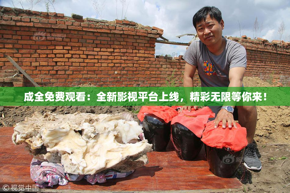 成全免费观看：全新影视平台上线，精彩无限等你来！