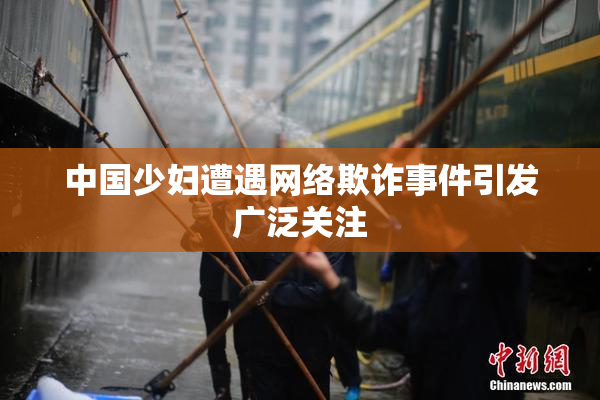 中国少妇遭遇网络欺诈事件引发广泛关注