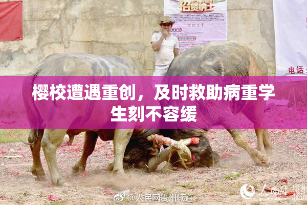 樱校遭遇重创，及时救助病重学生刻不容缓