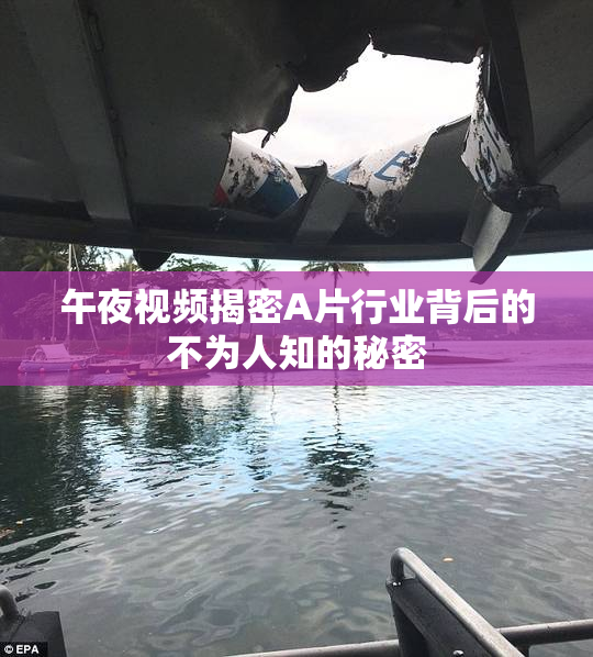 午夜视频揭密A片行业背后的不为人知的秘密