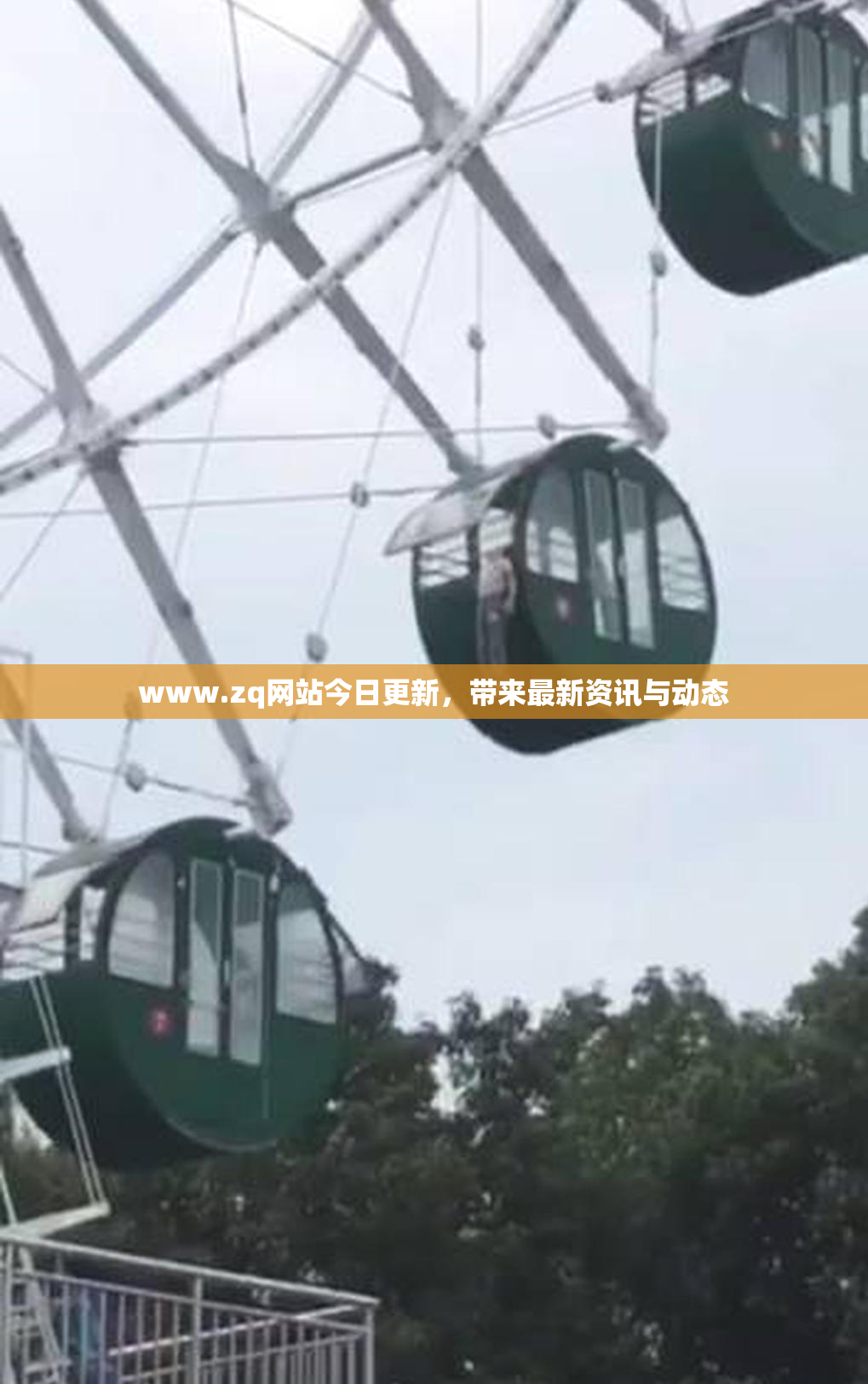 www.zq网站今日更新，带来最新资讯与动态