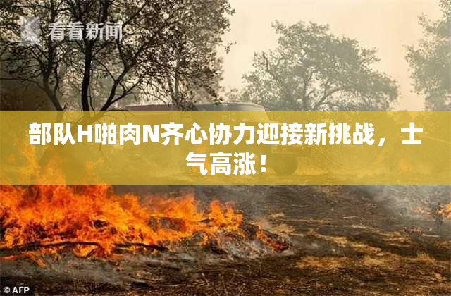 部队H啪肉N齐心协力迎接新挑战，士气高涨！
