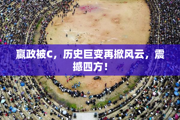 嬴政被C，历史巨变再掀风云，震撼四方！