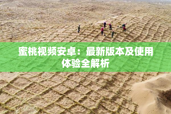 蜜桃视频安卓：最新版本及使用体验全解析