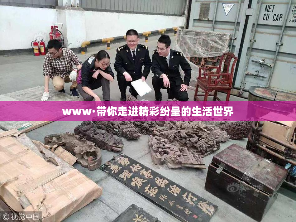 www·带你走进精彩纷呈的生活世界