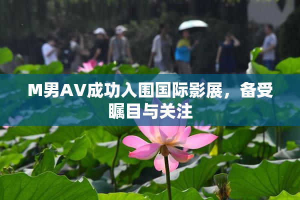 M男AV成功入围国际影展，备受瞩目与关注