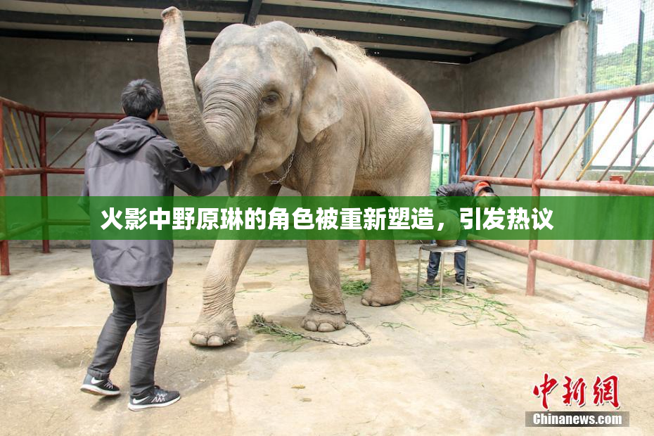 火影中野原琳的角色被重新塑造，引发热议