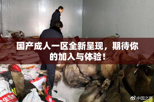 国产成人一区全新呈现，期待你的加入与体验！