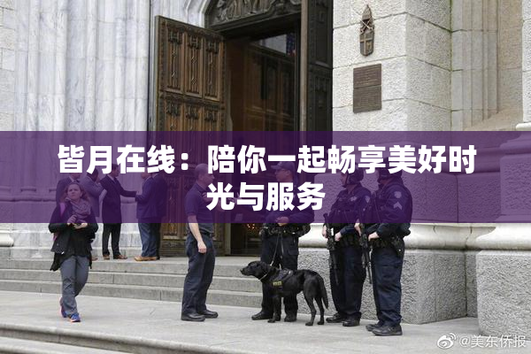 皆月在线：陪你一起畅享美好时光与服务