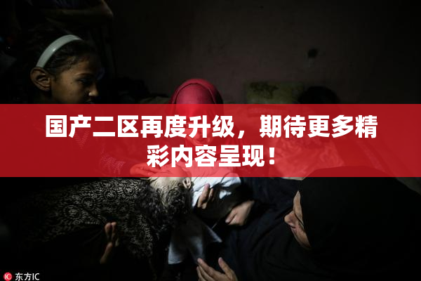 国产二区再度升级，期待更多精彩内容呈现！