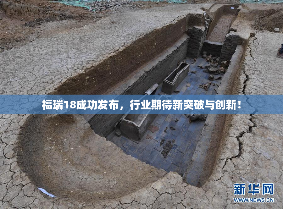 福瑞18成功发布，行业期待新突破与创新！