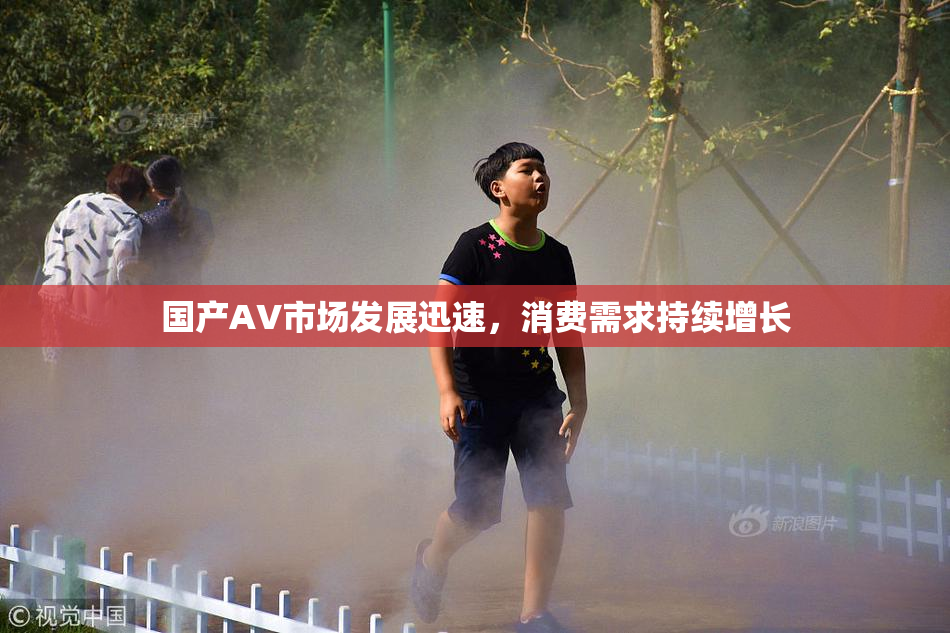 国产AV市场发展迅速，消费需求持续增长