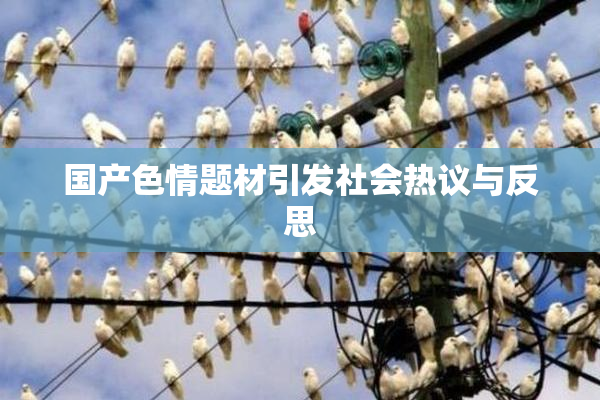 国产色情题材引发社会热议与反思