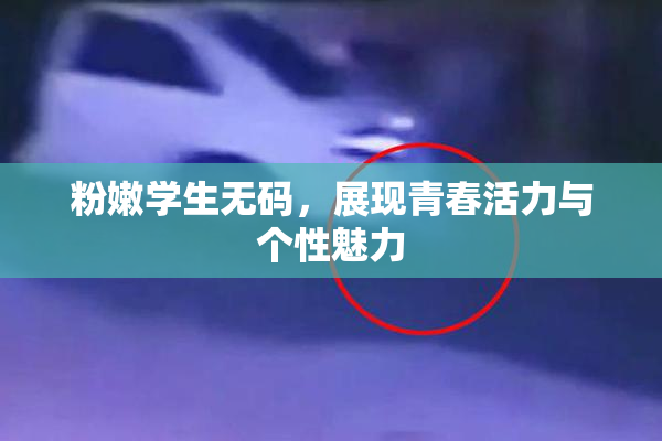 粉嫩学生无码，展现青春活力与个性魅力